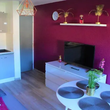 Joli Studio Dans De Standing * Saint-Cyprien (Pyrenees-Orientales)